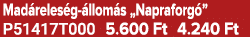 Mad reles g llom s „Napraforg ” P51417T000 5.600 Ft 4.240 Ft