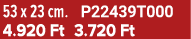 53 x 23 cm. P22439T000 4.920 Ft 3.720 Ft
