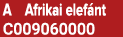 A Afrikai elef nt C009060000