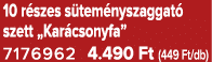 10 r szes s tem nyszaggat szett „Kar csonyfa” 7176962 4.490 Ft (449 Ft/db)