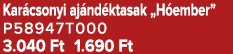 Kar csonyi aj nd ktasak „H ember” P58947T000 3.040 Ft 1.690 Ft