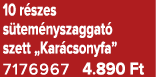 10 r szes s tem nyszaggat szett „Kar csonyfa” 7176967 4.890 Ft