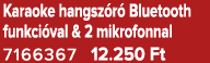 Karaoke hangsz r Bluetooth funkci val & 2 mikrofonnal 7166367 12.250 Ft