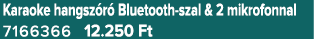 Karaoke hangsz r Bluetooth szal & 2 mikrofonnal 7166366 12.250 Ft