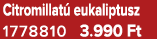 Citromillat eukaliptusz 1778810 3.990 Ft