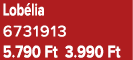 Lob lia 6731913 5.790 Ft 3.990 Ft
