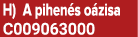 H) A pihen s o zisa C009063000
