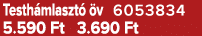 Testh mlaszt  v 6053834 5.590 Ft 3.690 Ft