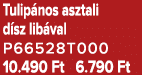 Tulip nos asztali d sz lib val P66528T000 10.490 Ft 6.790 Ft