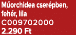 M orchidea cser pben, feh r, lila C009702000 2.290 Ft