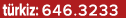 t rkiz: 646.3233
