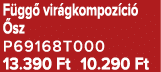 F gg vir gkompoz ci   sz P69168T000 13.390 Ft 10.290 Ft